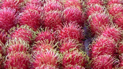 Thai Fruit Rambutan