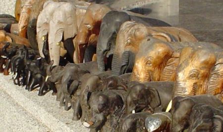 Thai Elephants